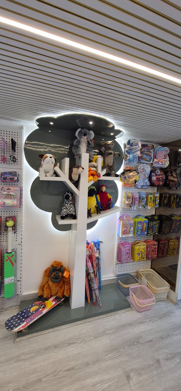 Photo from Nameeta(5)